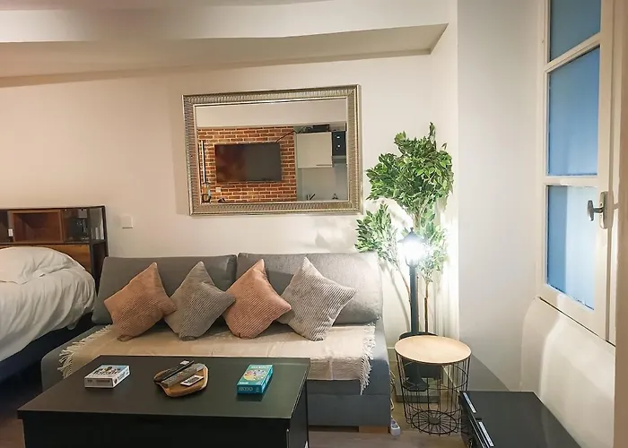 Apartament De Charme Quartier Carmes Tuluza
