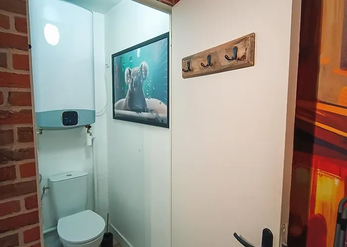 De Charme Quartier Carmes Appartement *